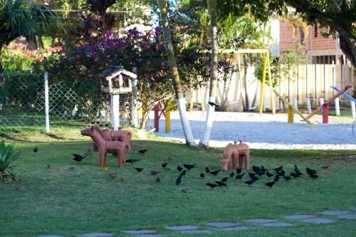 Outdoor Pictures 17
