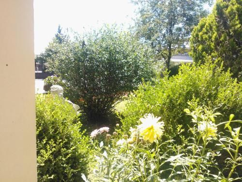 Outdoor Pictures 17