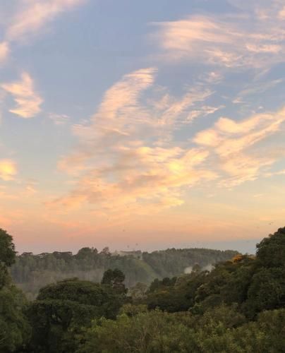 Outdoor Pictures 20