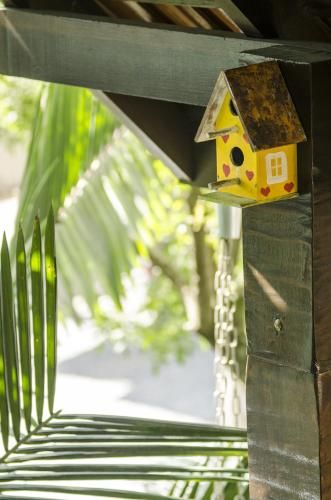 Outdoor Pictures 24