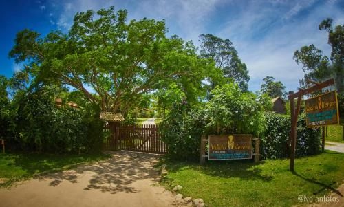 Outdoor Pictures 20