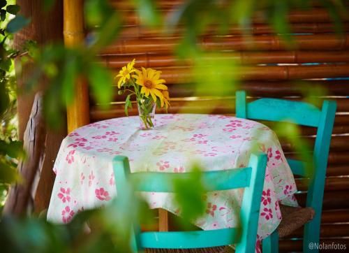 Outdoor Pictures 7