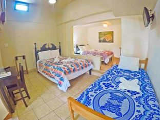 Hotel Image 6