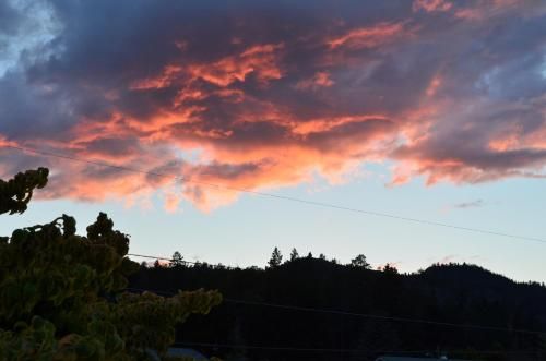 Outdoor Pictures 20