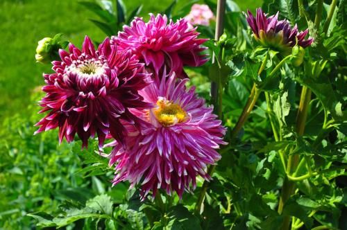Outdoor Pictures 16