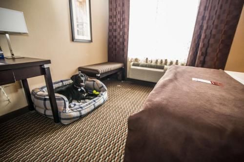 Fairfield Inn & Suites by Marriott West Kelowna