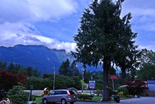 Outdoor Pictures 19