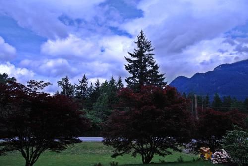 Outdoor Pictures 20