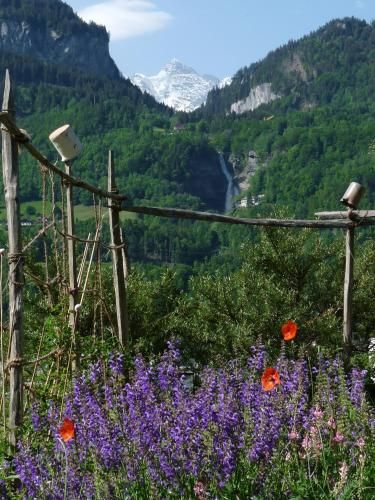 Outdoor Pictures 21