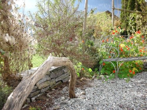 Outdoor Pictures 15