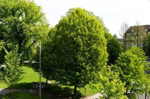 Outdoor Pictures 22