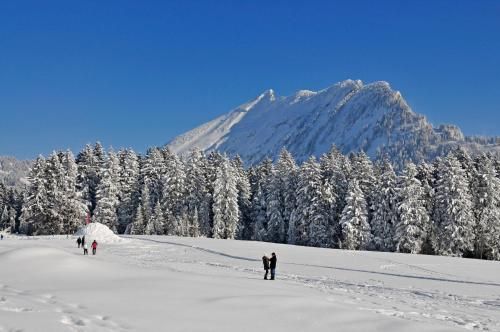 Outdoor Pictures 23