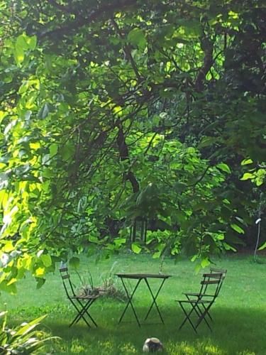 Outdoor Pictures 21