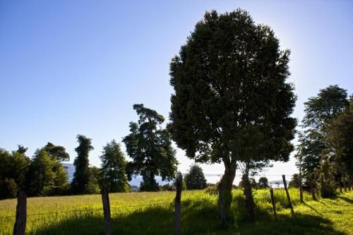Outdoor Pictures 20