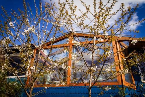Outdoor Pictures 23