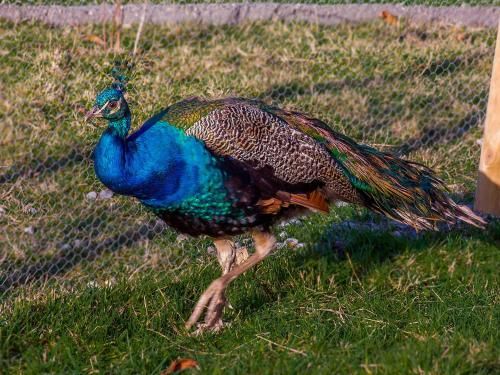 Outdoor Pictures 19