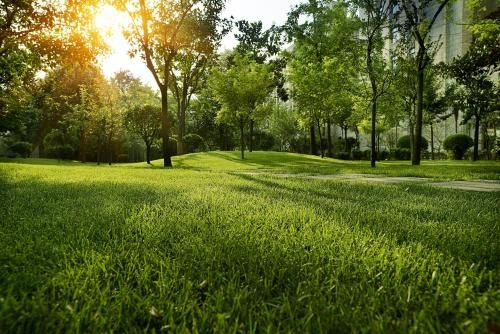 Outdoor Pictures 21