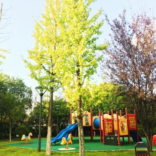 Outdoor Pictures 21