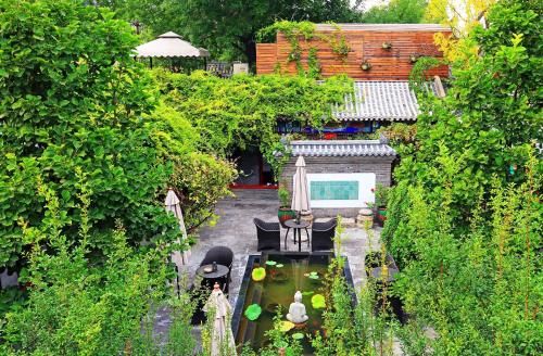Outdoor Pictures 21