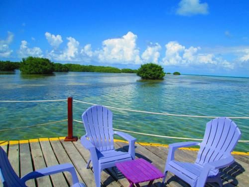 Outdoor Pictures 20