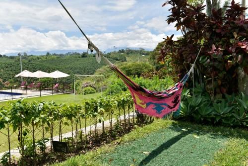 Outdoor Pictures 22