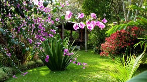 Outdoor Pictures 16