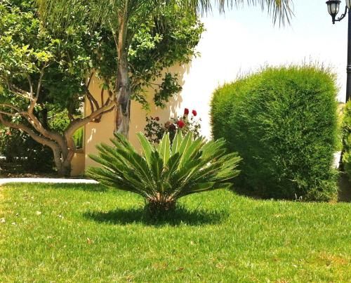 Outdoor Pictures 24