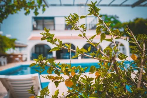 Outdoor Pictures 21