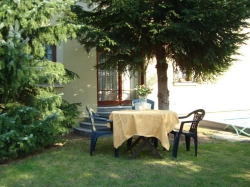 Outdoor Pictures 22