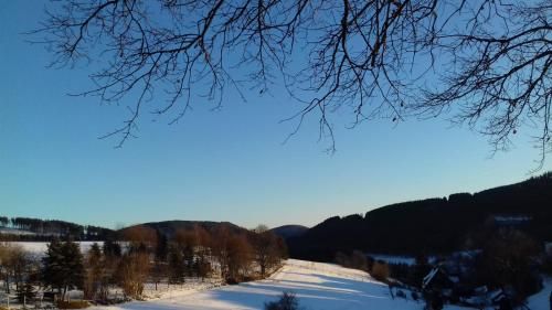Outdoor Pictures 21