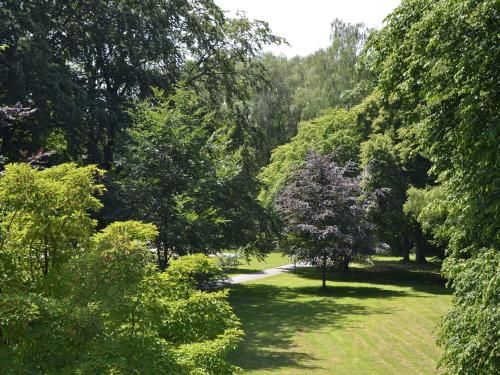 Outdoor Pictures 22