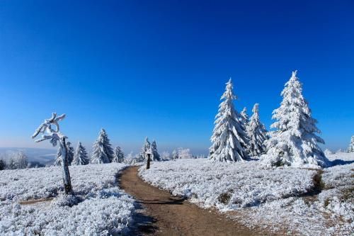 Outdoor Pictures 20