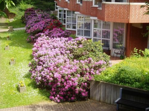 Outdoor Pictures 20