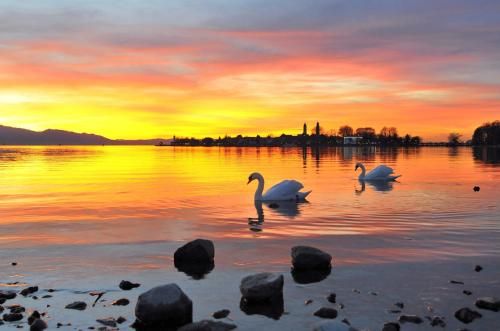 Outdoor Pictures 20
