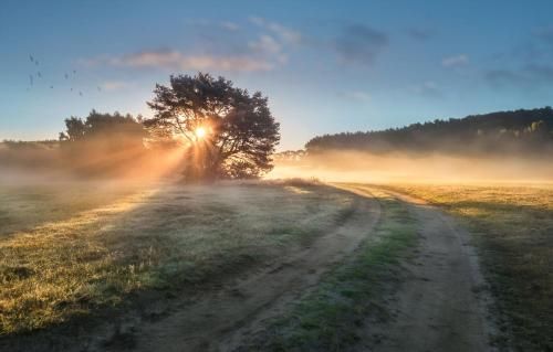 Outdoor Pictures 24