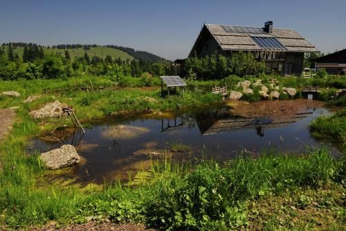 Outdoor Pictures 21