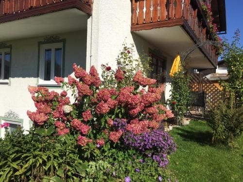 Outdoor Pictures 24