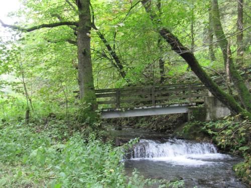 Outdoor Pictures 19