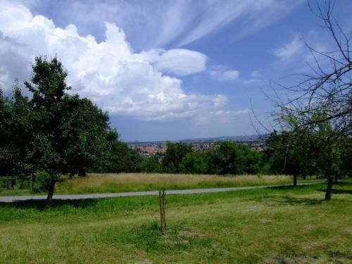 Outdoor Pictures 21