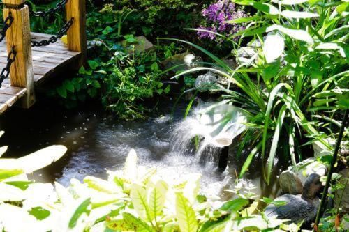 Outdoor Pictures 21