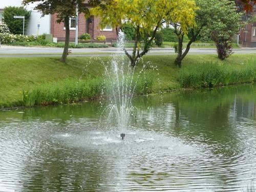 Outdoor Pictures 21