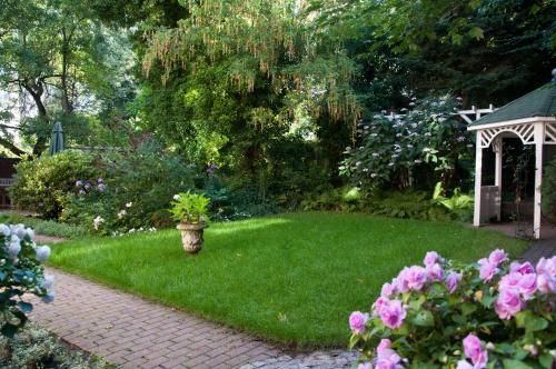 Outdoor Pictures 22