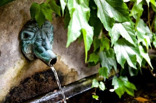 Outdoor Pictures 22