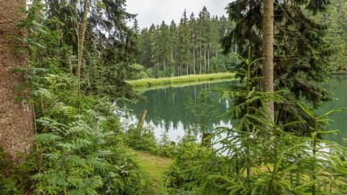 Outdoor Pictures 22