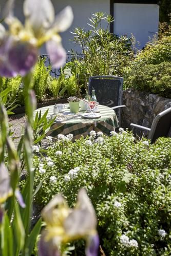 Outdoor Pictures 21