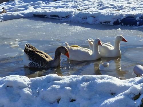 Outdoor Pictures 21