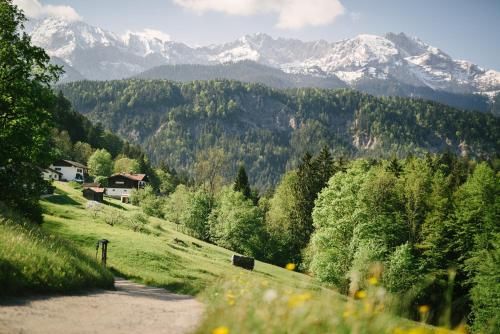 Outdoor Pictures 24