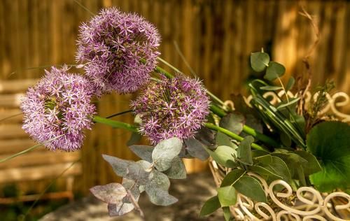 Outdoor Pictures 22