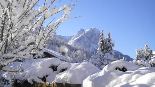 Outdoor Pictures 20