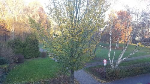 Outdoor Pictures 22